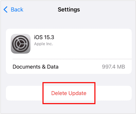 delete update file on iphone