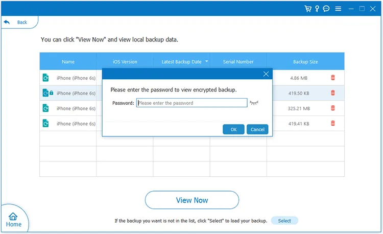 enter the password to decrypt the backup file