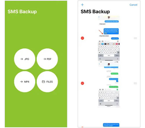 escolha um formato de arquivo no aplicativo de backup de SMS