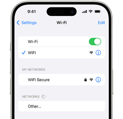 check wi-fi settings on iphone